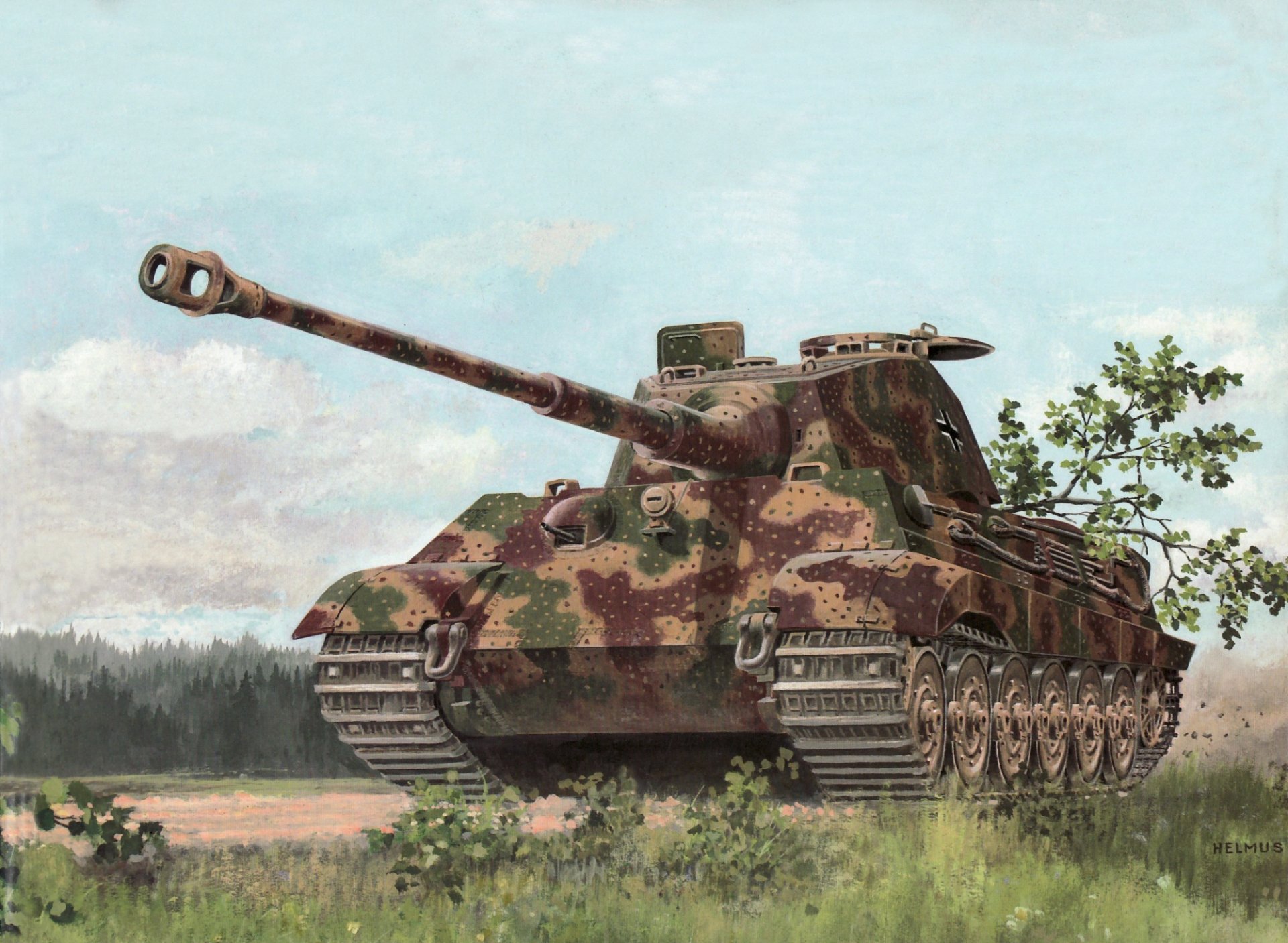 art german heavy tank v. I. ausf . in tiger ii or royal tiger camouflage disguise drawing