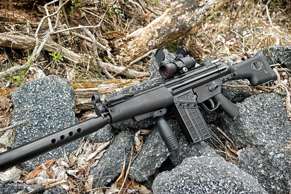 Hk51 sniper weapon. Weapons on the rocks