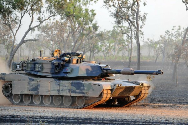 Tanque militar en el fondo del bosque