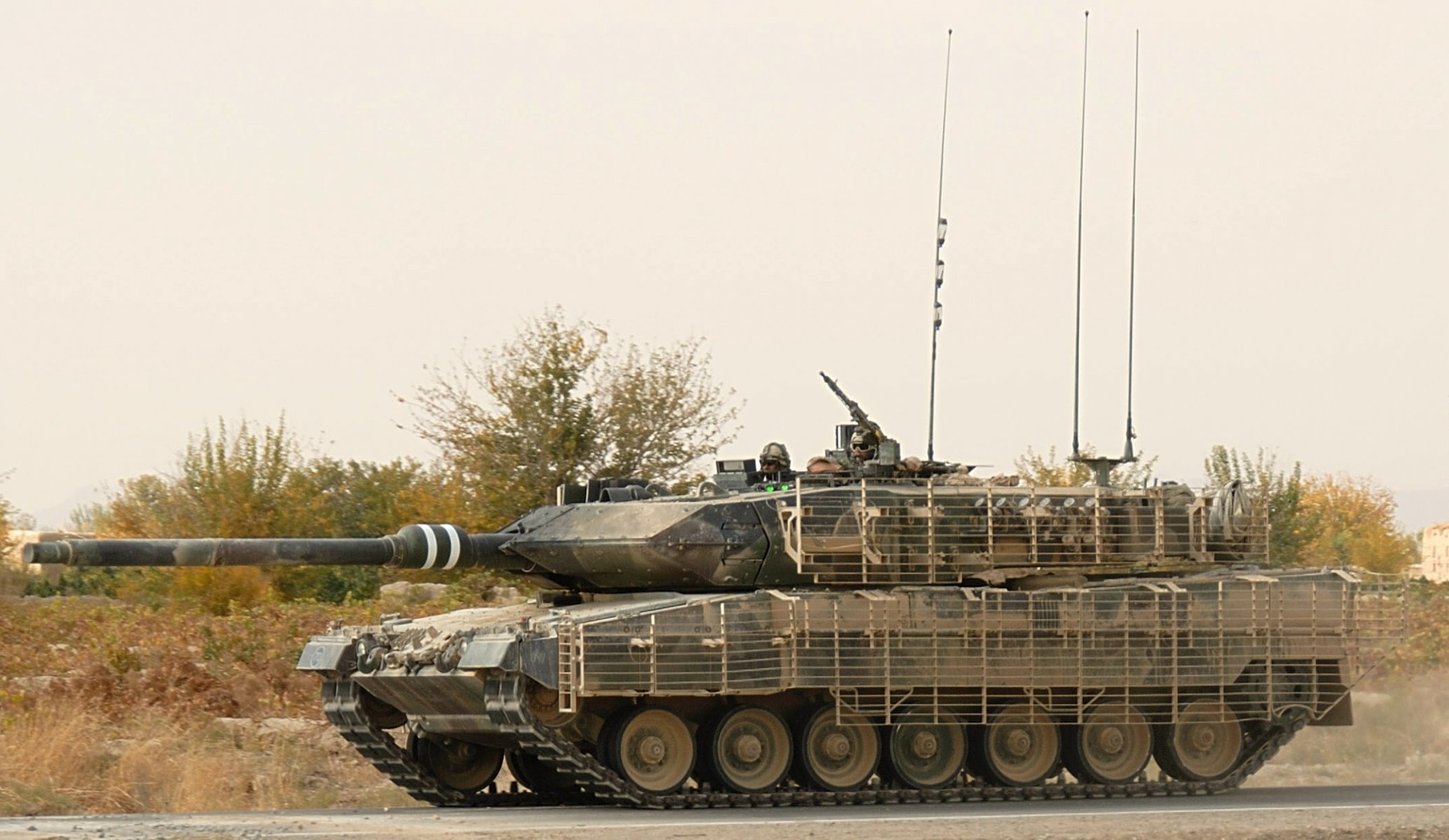 carro armato leopardo 2a6 protezione erba