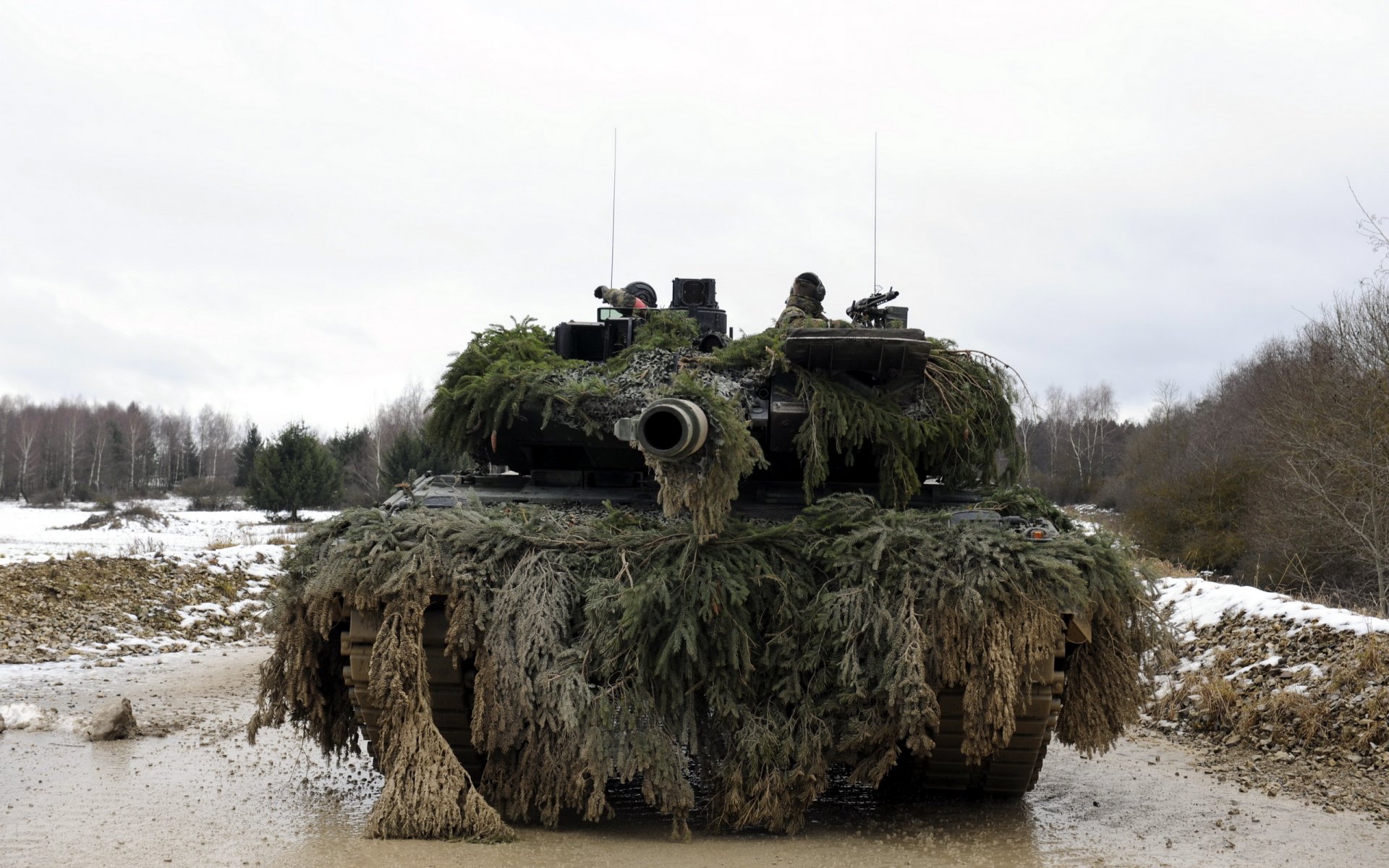 léopard réservoir arme