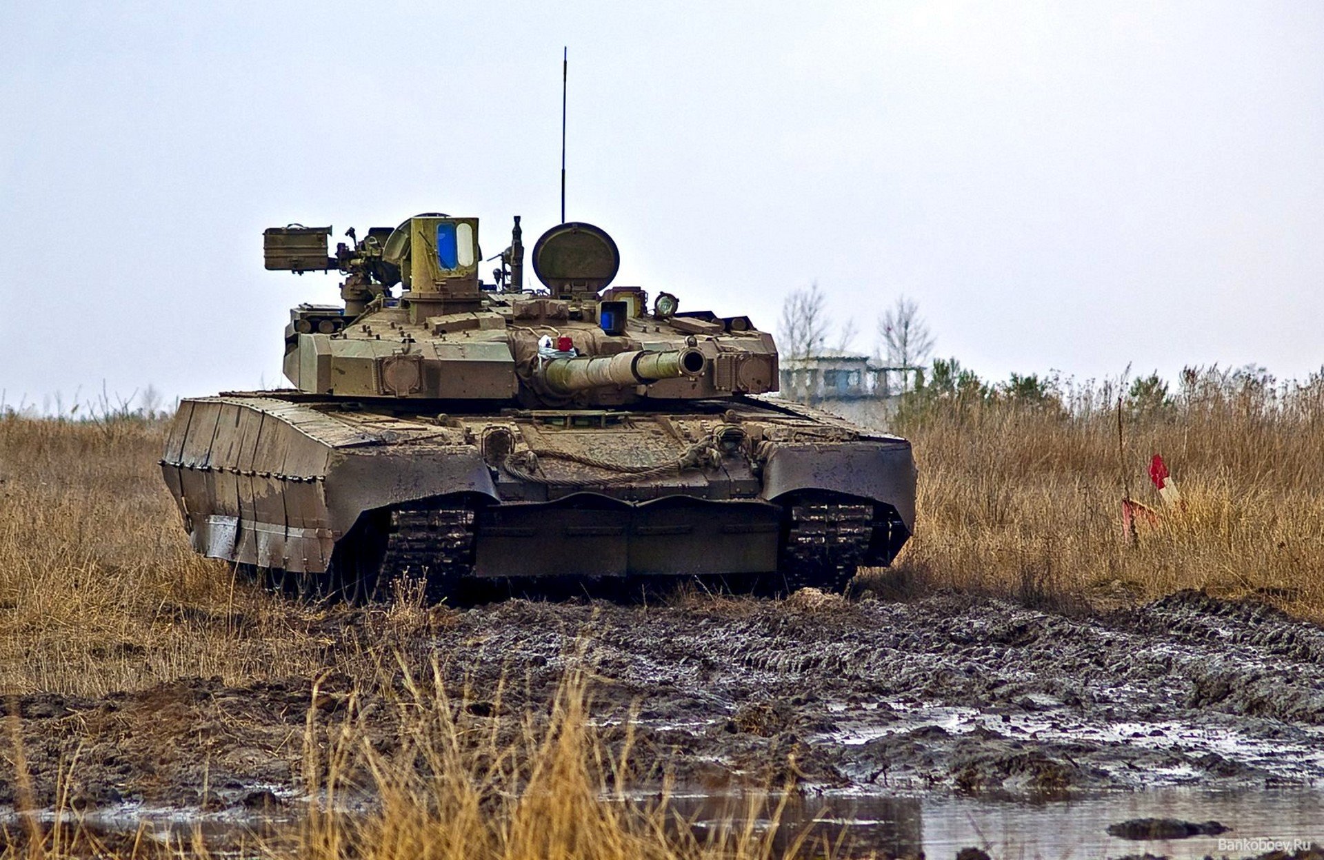 t-84 ostoja czołg pole ukraina