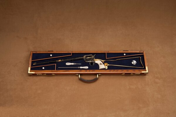 Case with antique weapons