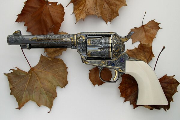 A revolver with patterns and dried leaves