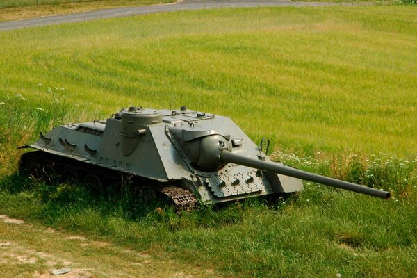 Self-propelled artillery installation on the background of a mowed field