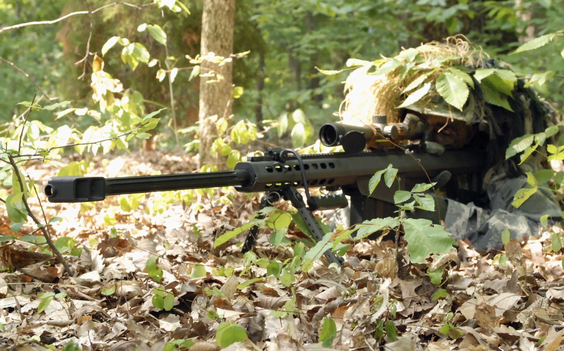 forêt embuscade sniper fusil