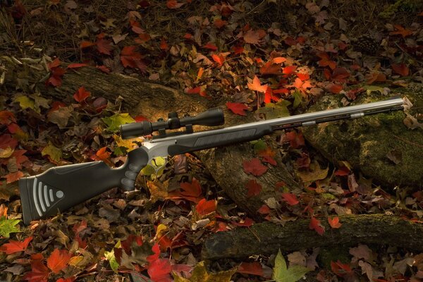 Hunting rifle on the foliage in the forest