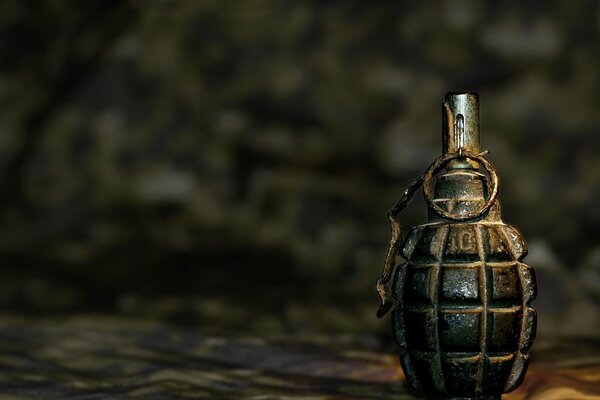 Grenade de combat sur fond neutre