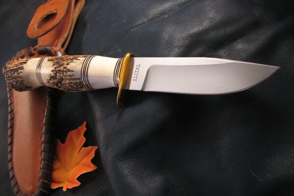 Knife and orange maple leaf