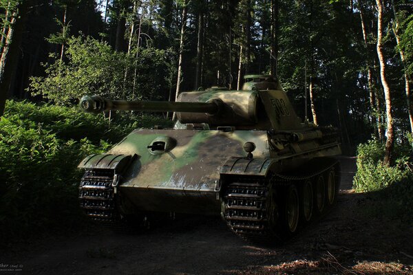 Tanque verde, Pantera en el bosque