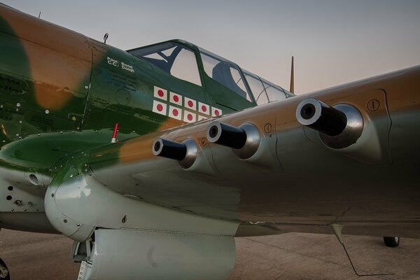 Warhawk p-40 fighter jet on the ground on a gray background