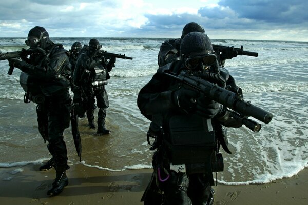 Navy seals in their business