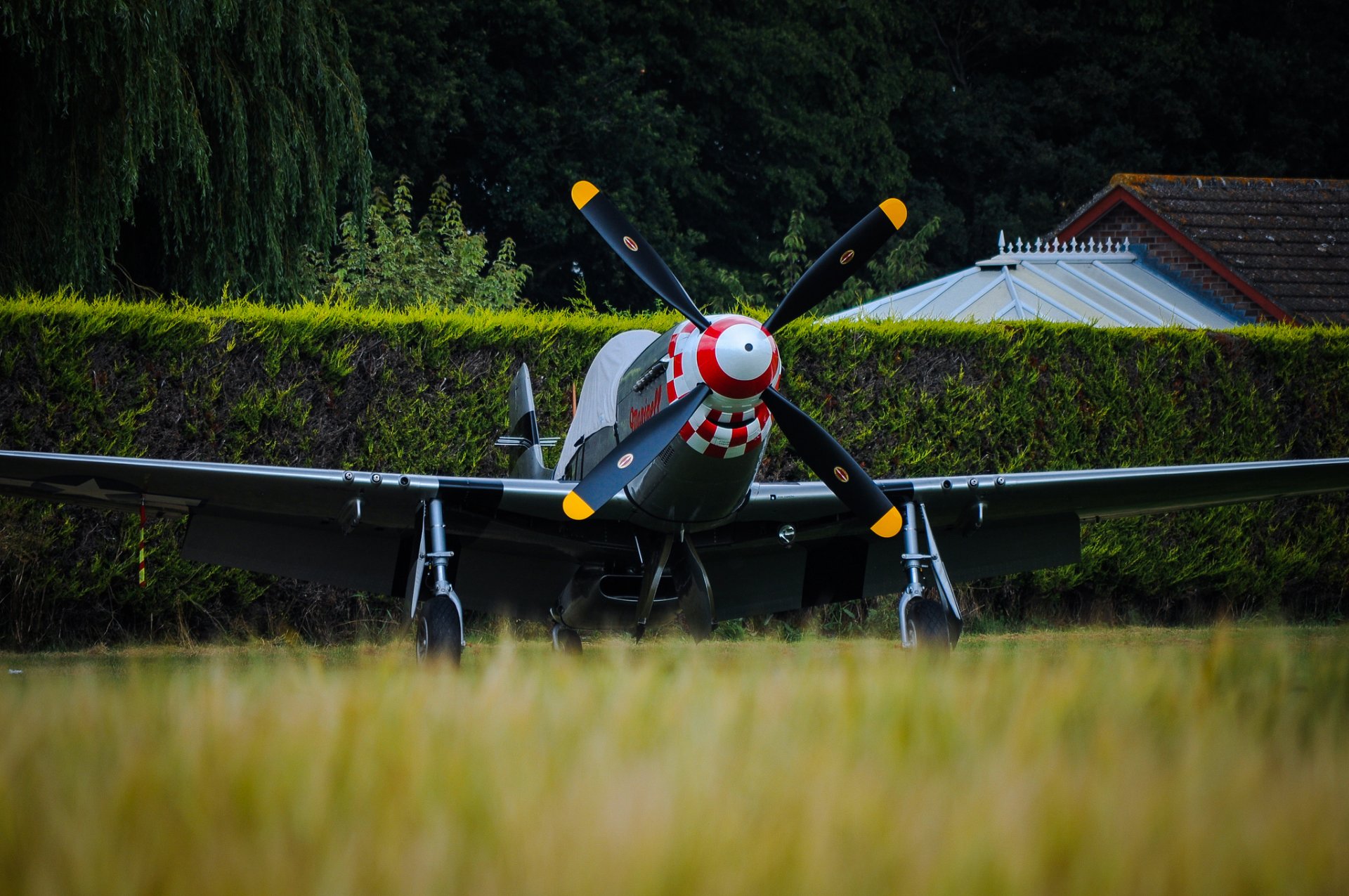 r-51d mustang pojedynczy myśliwiec śmigła