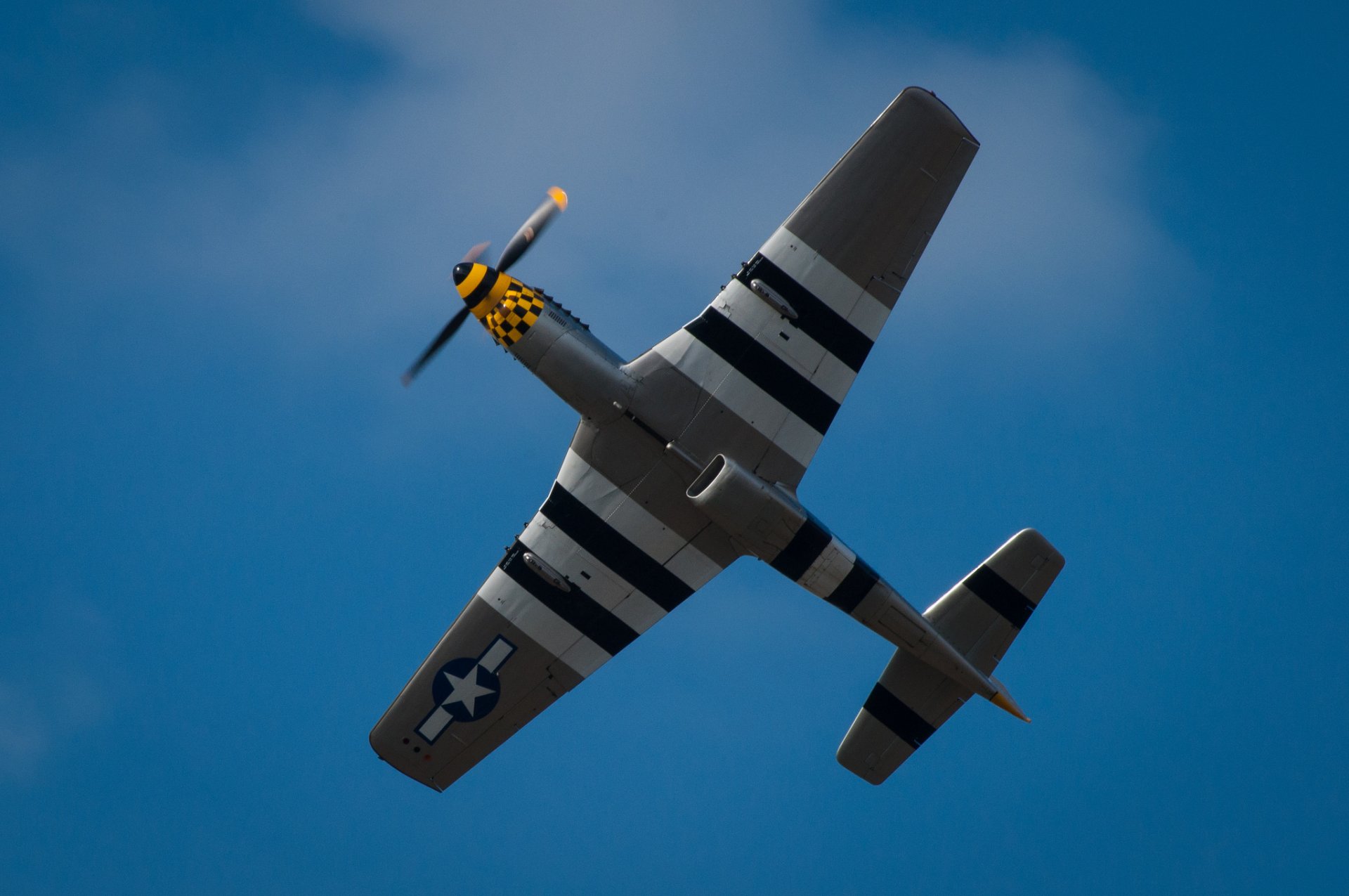 p-51d mustang solo luchador alas