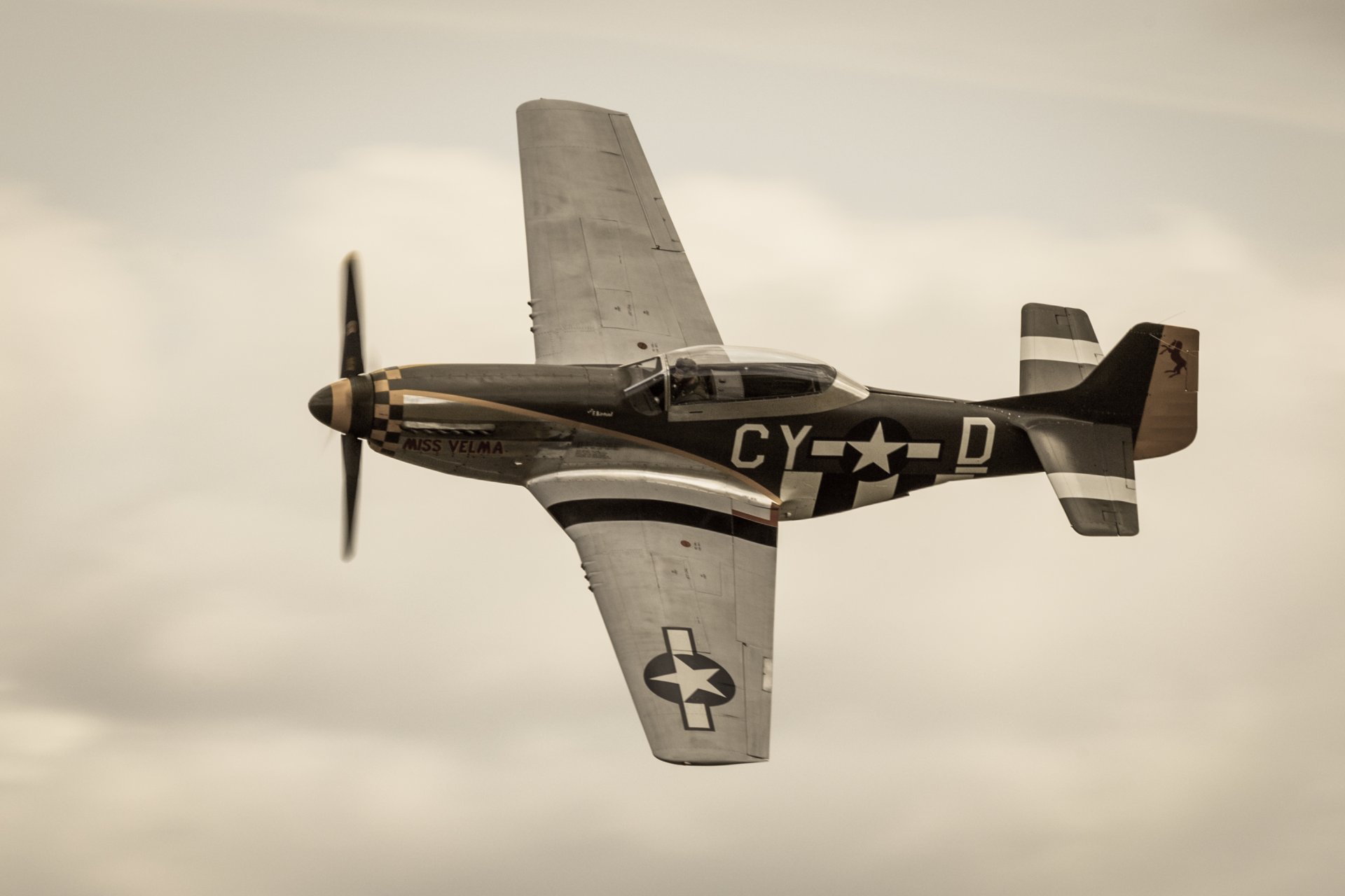 p-51d mustang monoplace chasseur