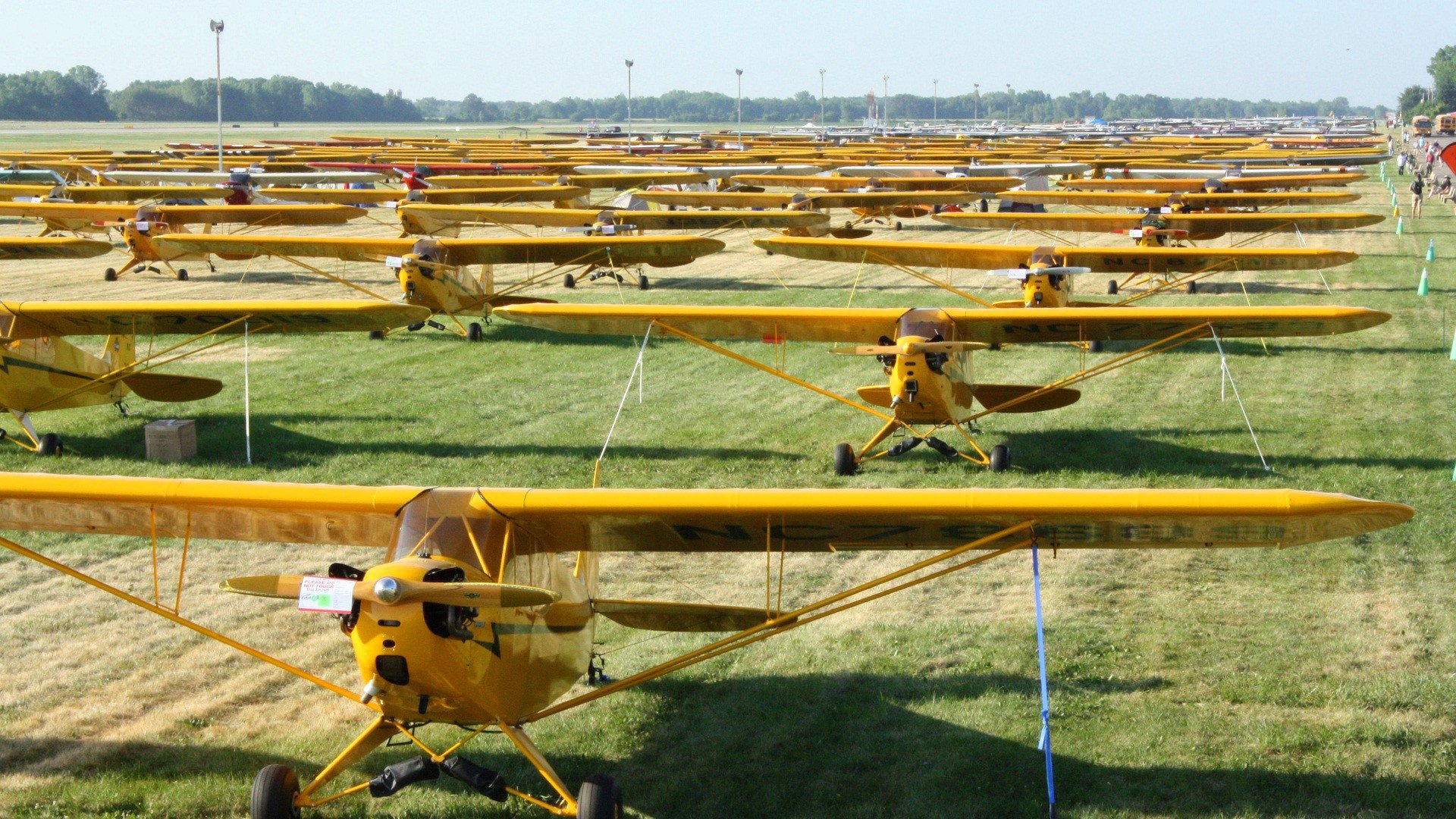 cielo campo linea fila aereo