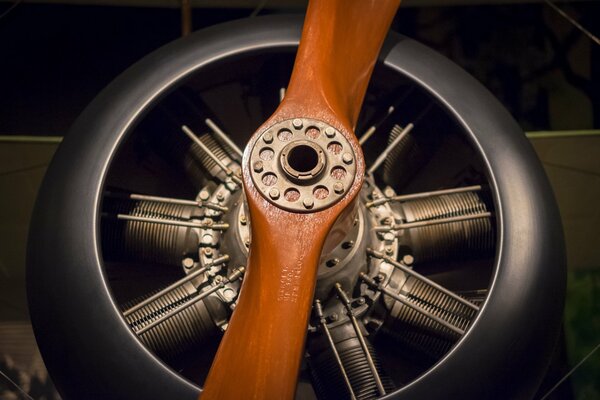 Wooden propeller piston aircraft