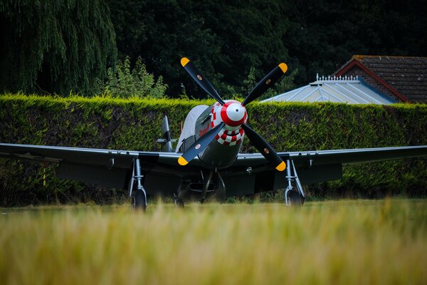 Single-seat fighter mustang with a propeller