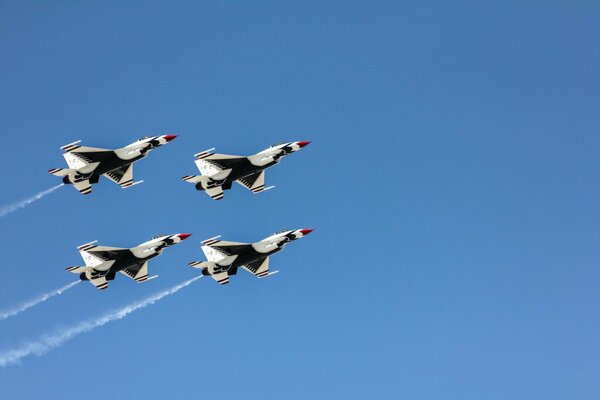 Aerial fest with tarderbirds on the sky background