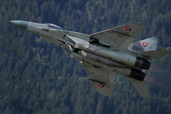 The MIG-29 multi-purpose fighter is flying over the forest