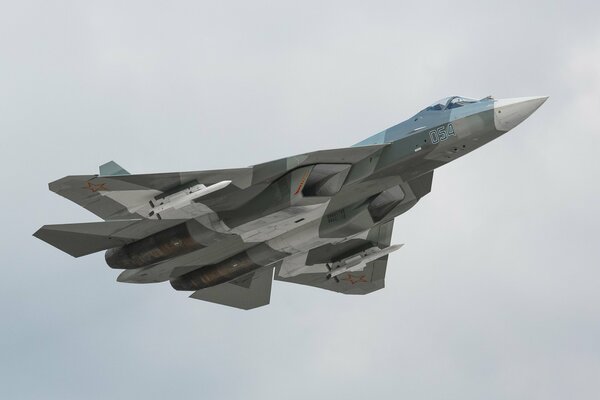 The T-50 multi-purpose fighter flies in the white-gray sky