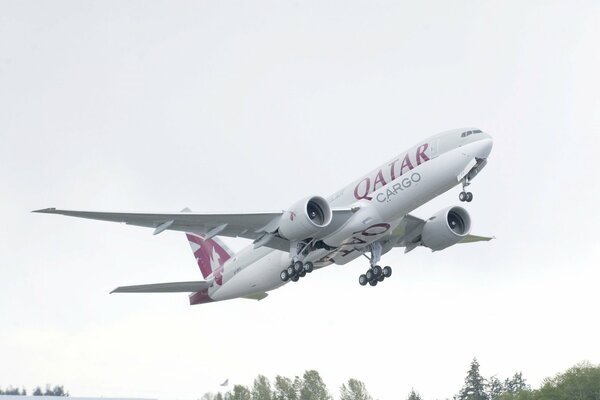 Un Boeing gris décolle dans un ciel gris