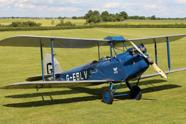 Aereo a due posti blu sul prato