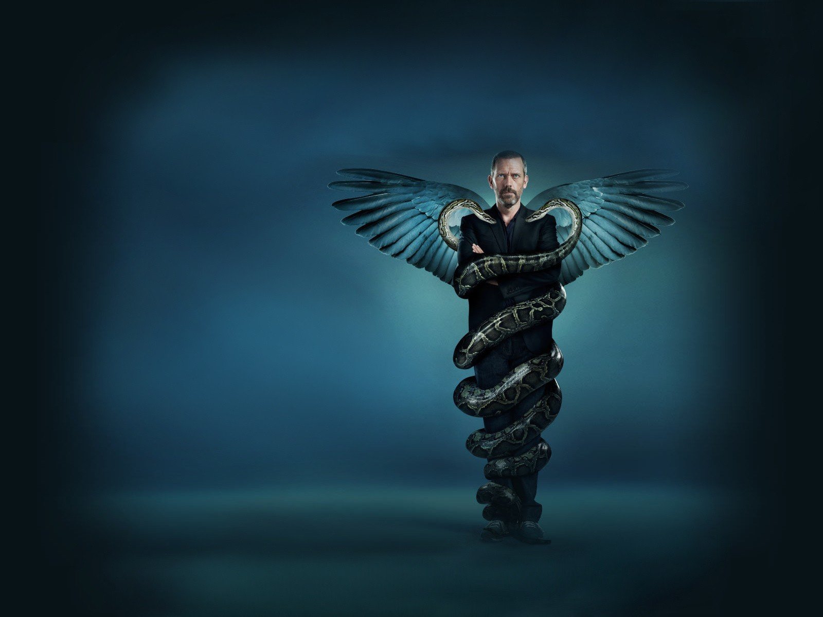 house md serpente hugh laurie