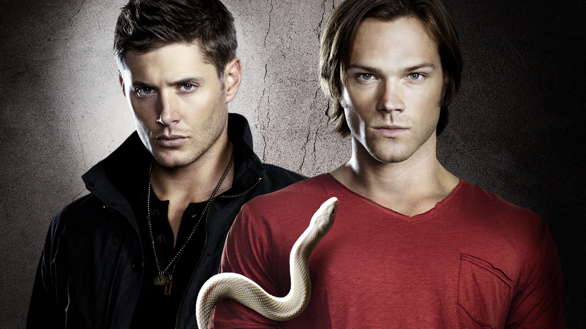 supernatural dean sam winchester brothers serial snake jensen ackles jared padalecki j2