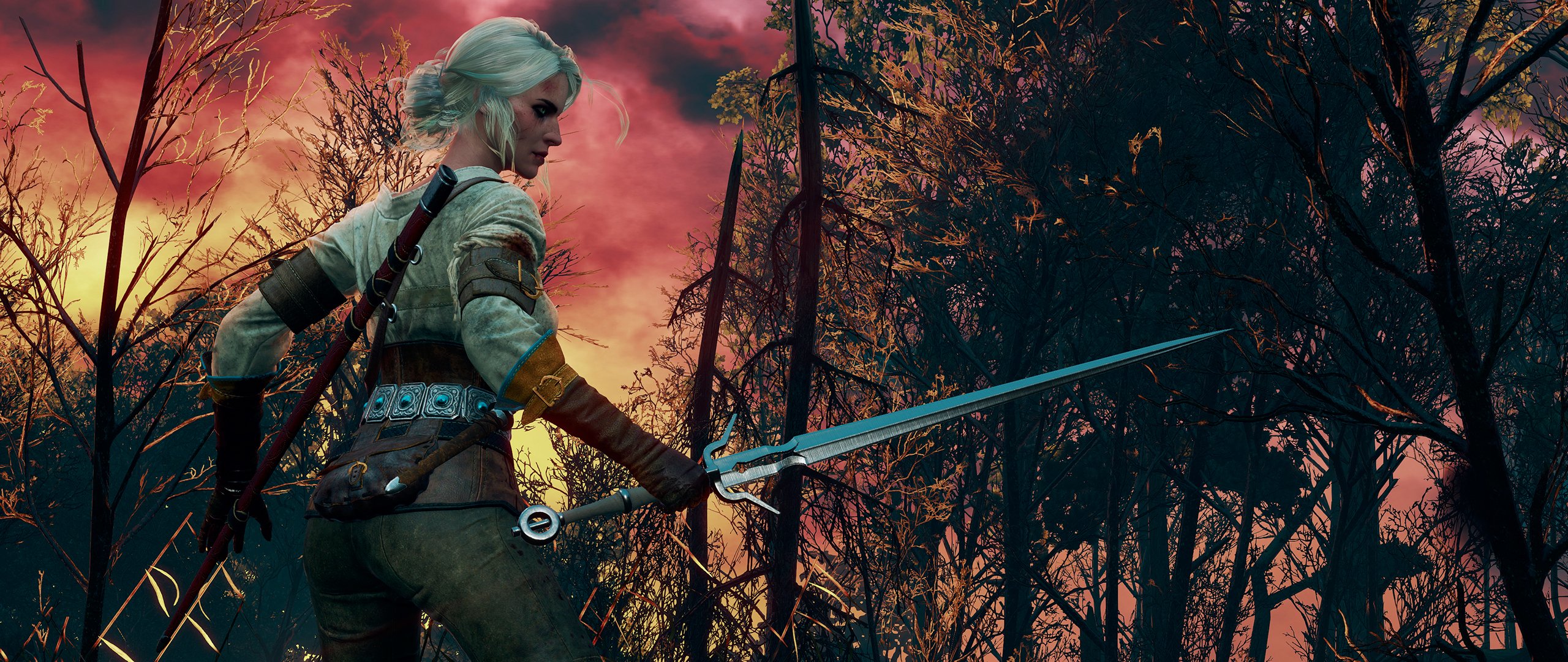 the witcher 3:wild hunt the witcher burning skies cri