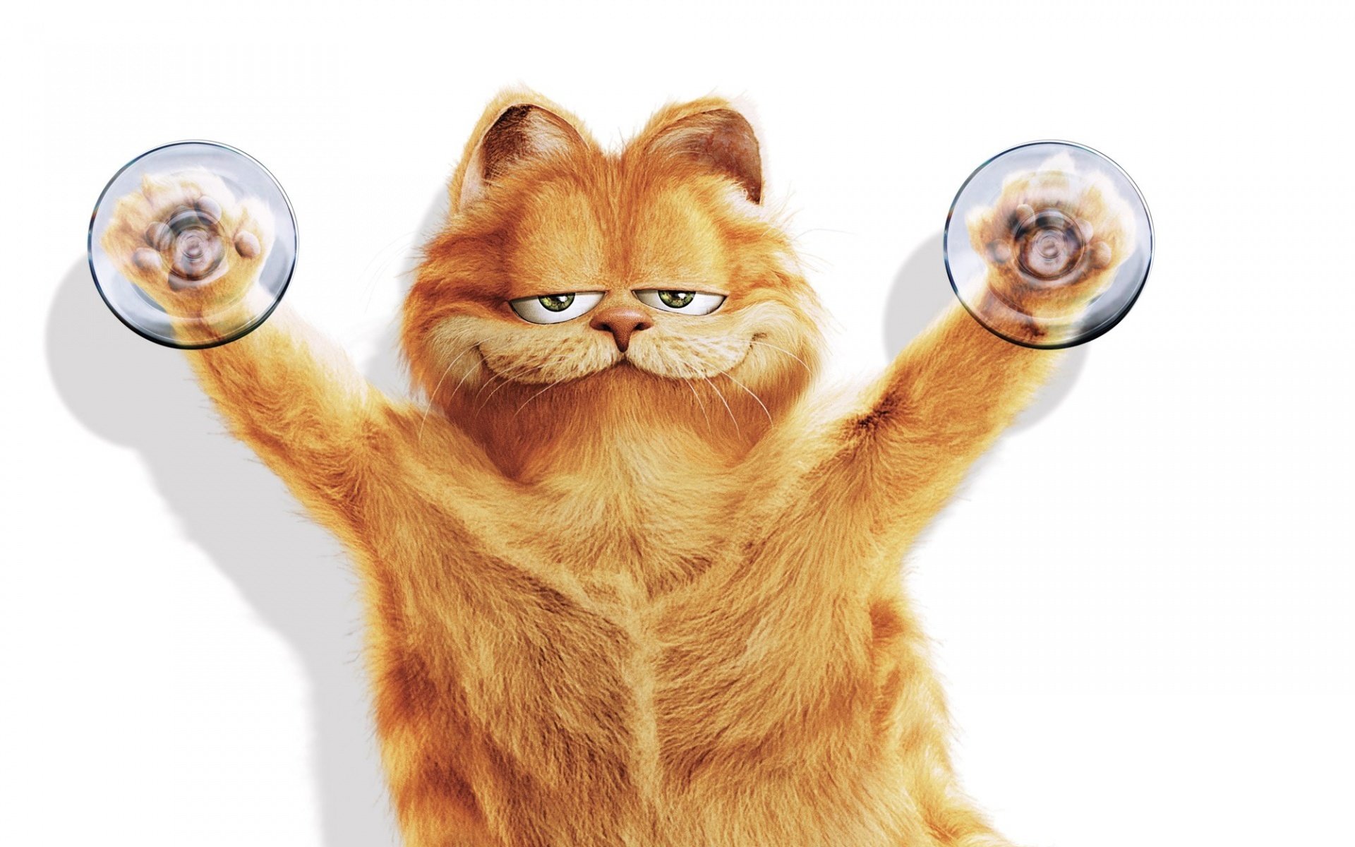 garfield saugnapf katze weiß hintergrund