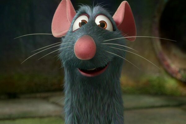 Cartoon with ratatouille mouse frame