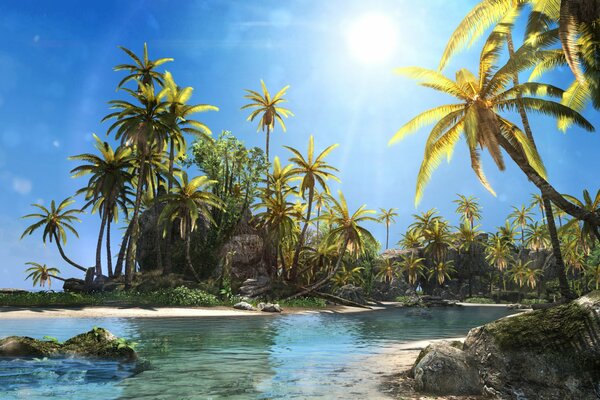 Sun Palm Trees beach from the game Assassin s Creed IV