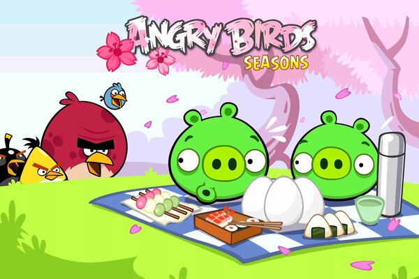 Angry birds seasons-cerdos de picnic y aves enojadas