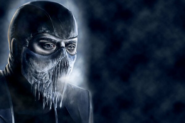 Sub-zero from the game morial combat