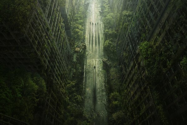 An empty overgrown city on the way to the apocalypse