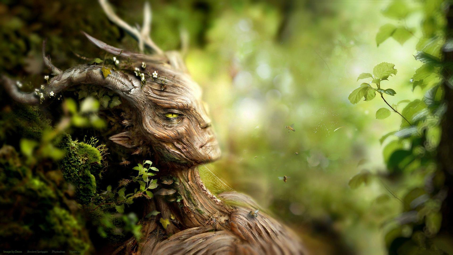 the elder scrolls skyrim las stworzenie pszczoły kora mech rośliny kwiaty spriggan