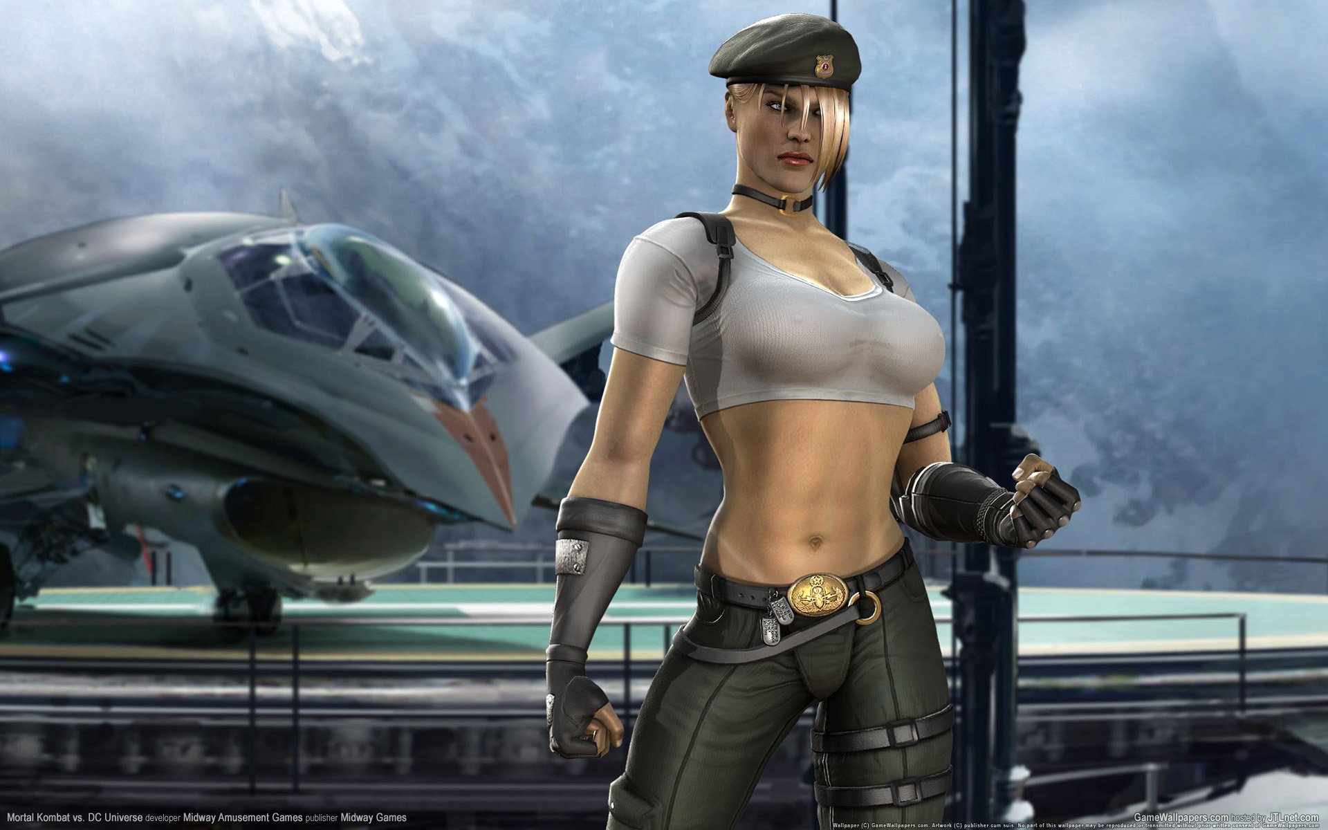 mortal kombat sonya form plane