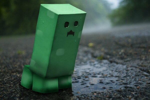Minecraft game . under the rain liana