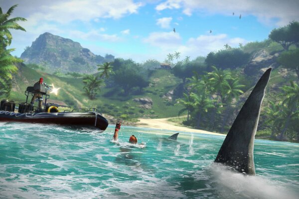 Mer et montagnes. Requin nage vers les gens