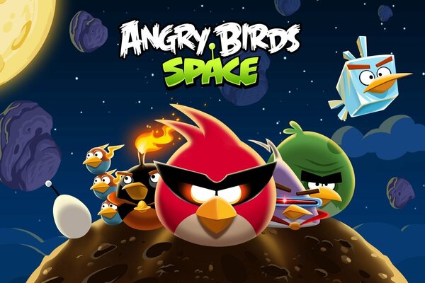 Angry birds böse Vögel im Raum