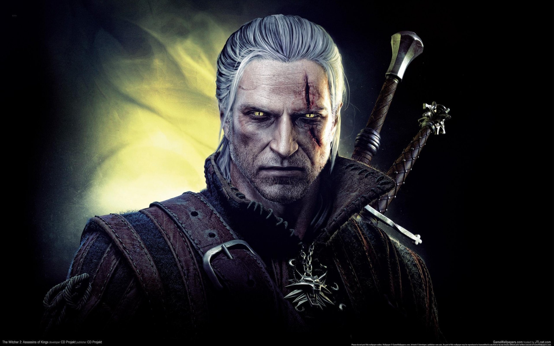 the witcher 2 assassins of kings the witcher view