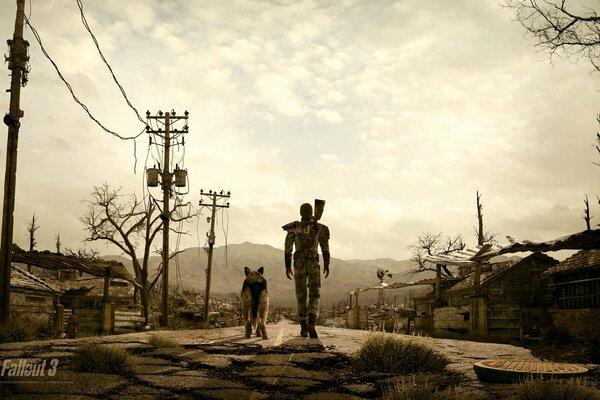 Walking a man with a dog in the evening fallout