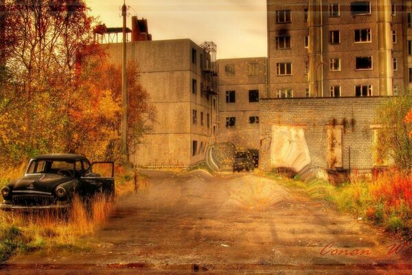 Otoño multicolor en el desierto de Chernobyl