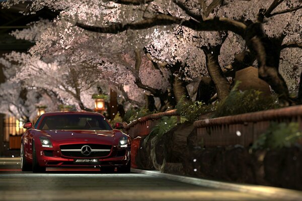 Red car on the background of sakura