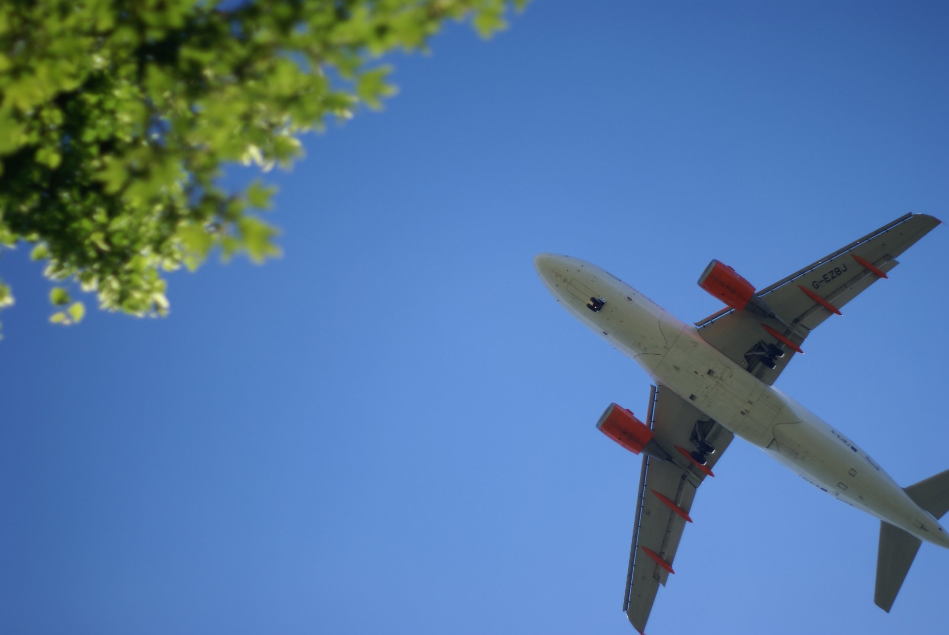 aviation plane sky tree blur