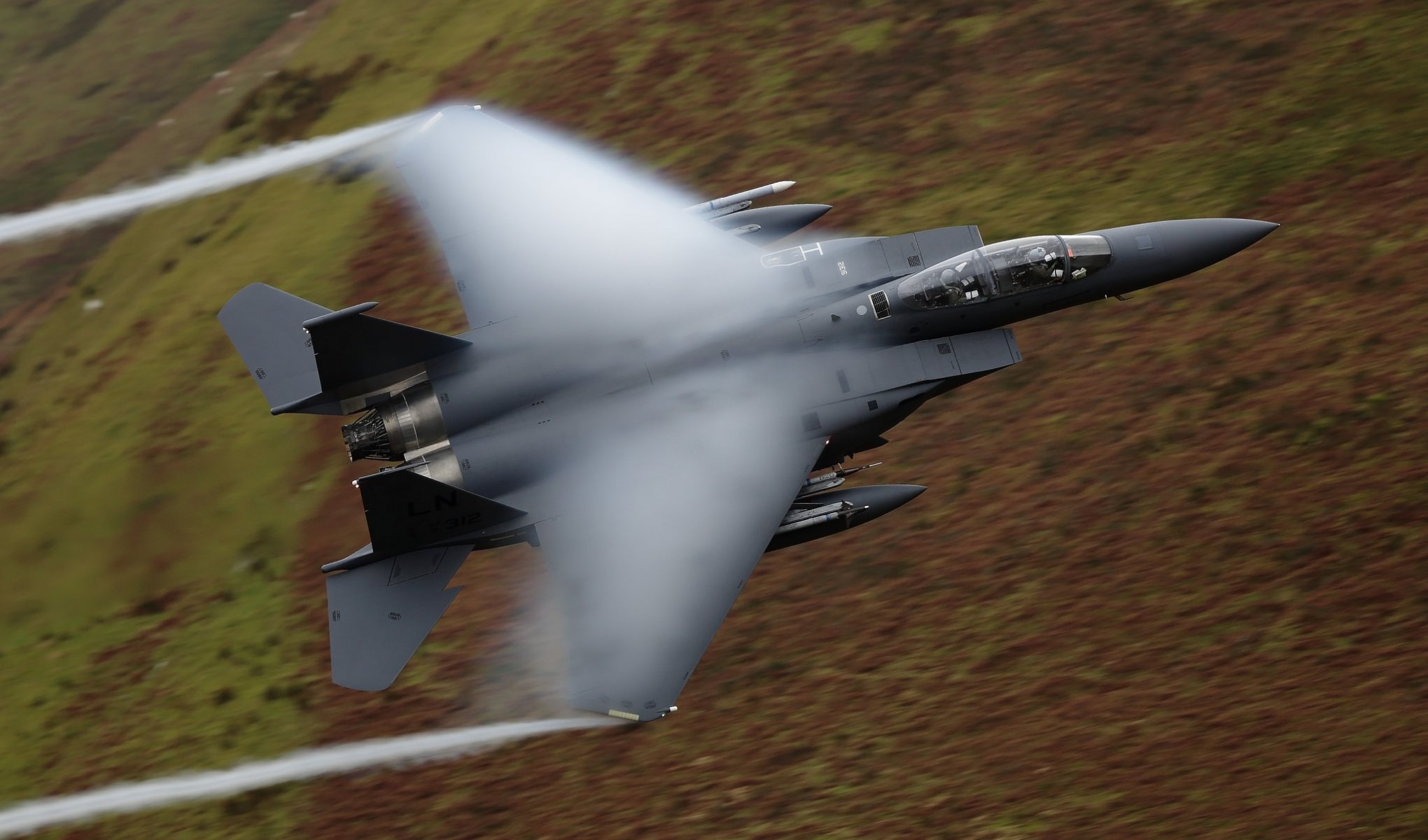 mcdonnell douglas f-15e adler kampfjet piloten