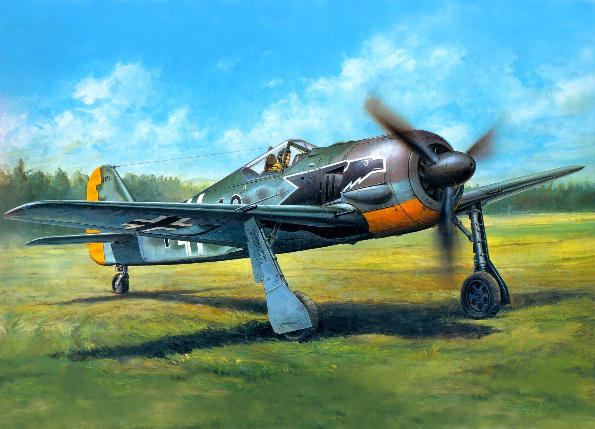 art the field plane focke-wulf fw-190a-3 german single monoplane fighter ww2