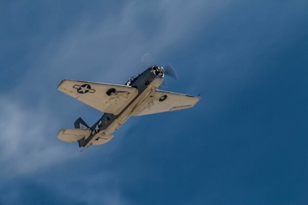 Un avion torpilleur de pont vole à la base