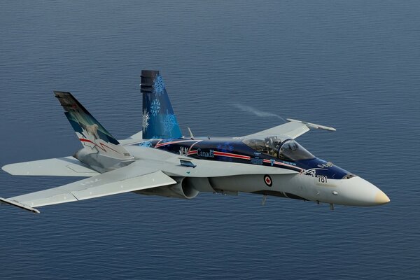 Avión de combate vuela sobre el océano